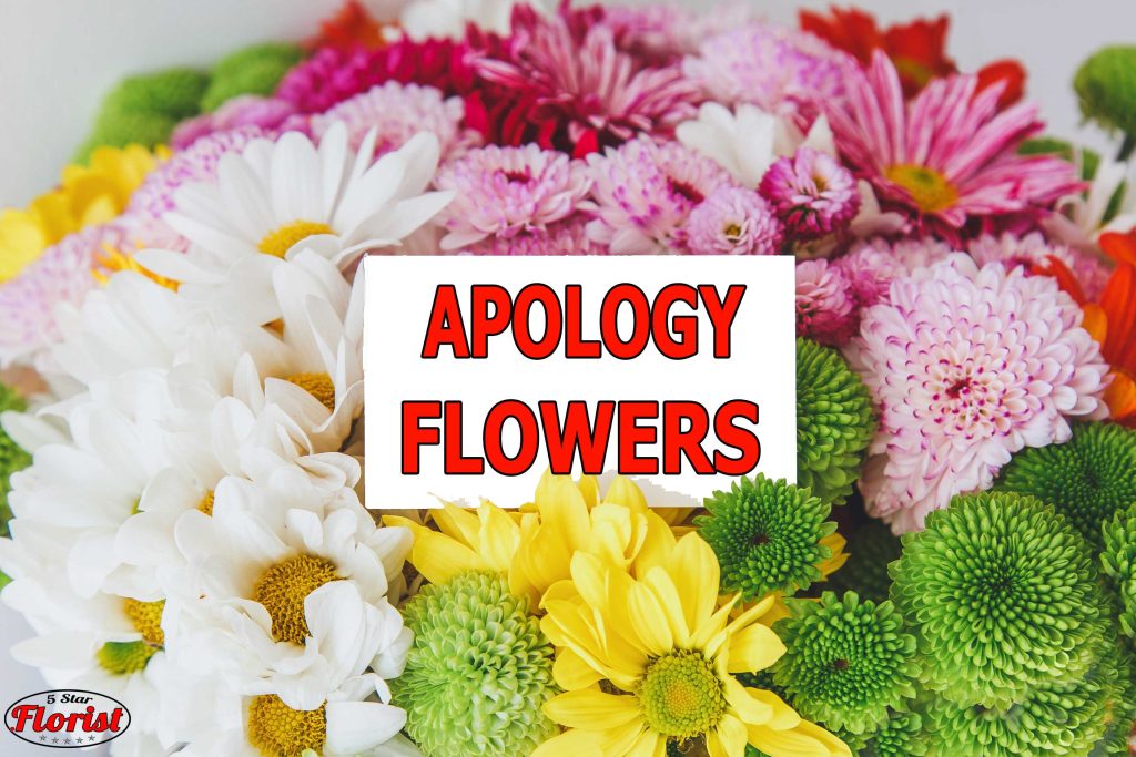 apology flowers Gainesville