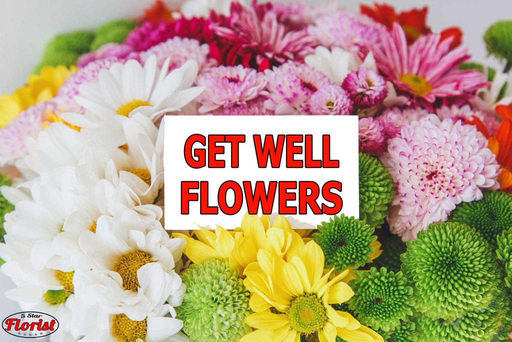 get well flowers Gainesville