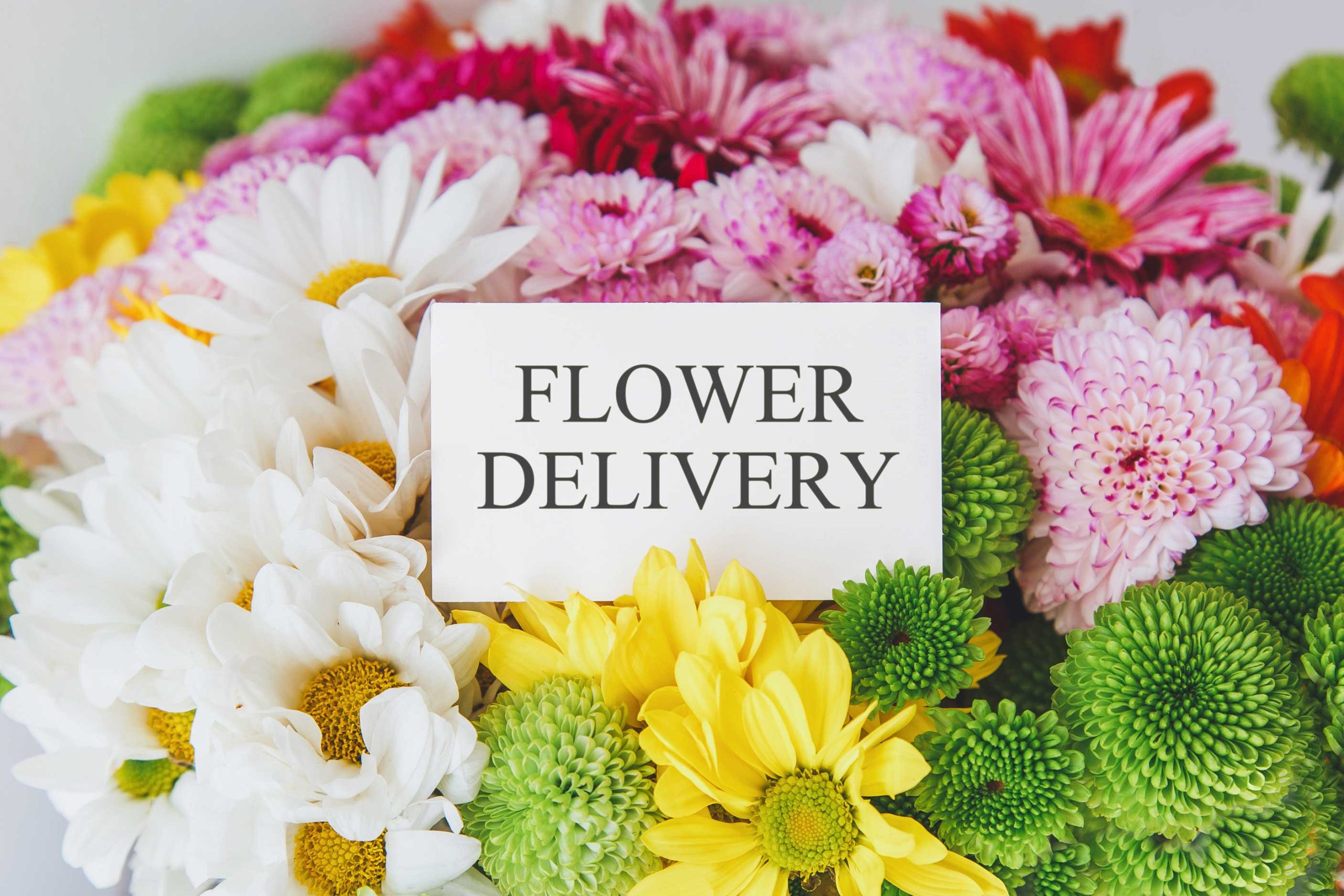 same-day-flower-delivery- Gainesville